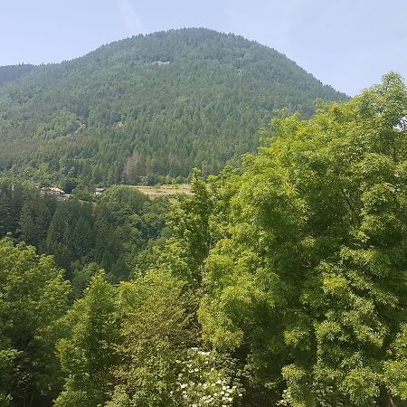 Appartamento Altipiano Pine 2 Bedollo Exteriör bild