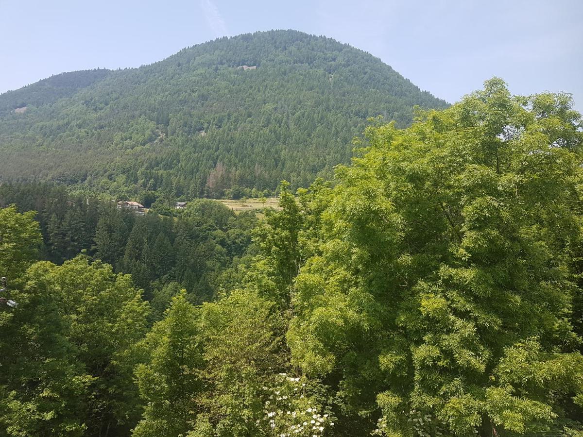 Appartamento Altipiano Pine 2 Bedollo Exteriör bild